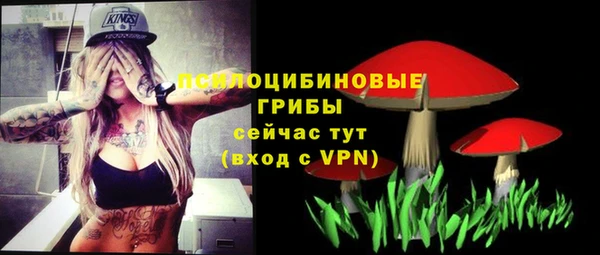 ешки Ладушкин