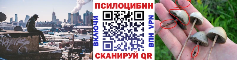 Псилоцибиновые грибы ЛСД  Купить закладки  Арсеньев 
